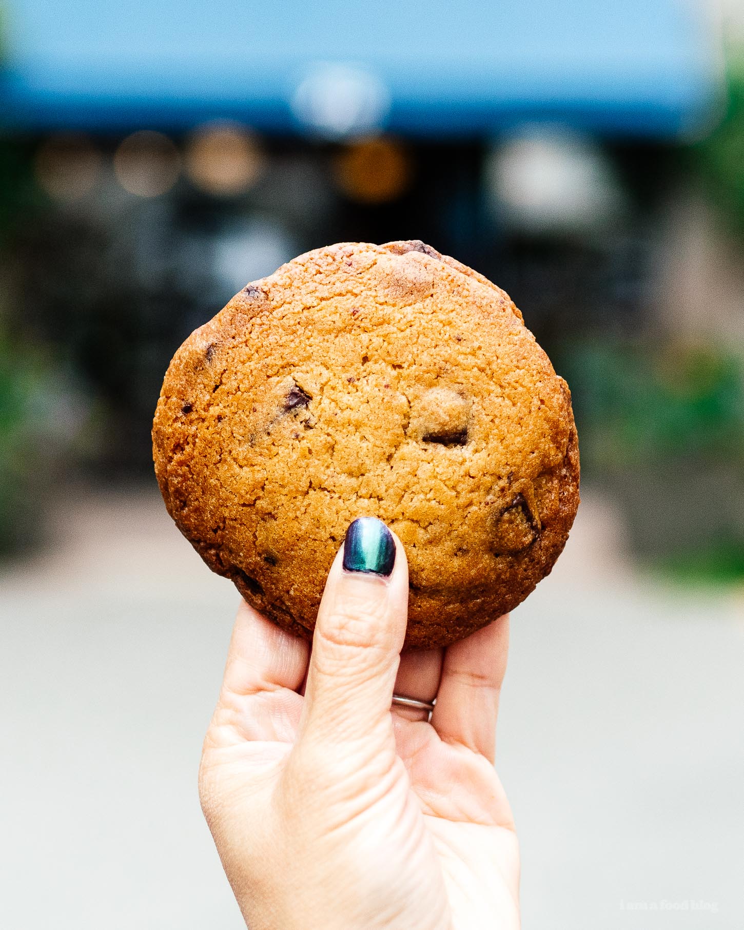 La búsqueda de la mejor galleta con chispas de chocolate del mundo